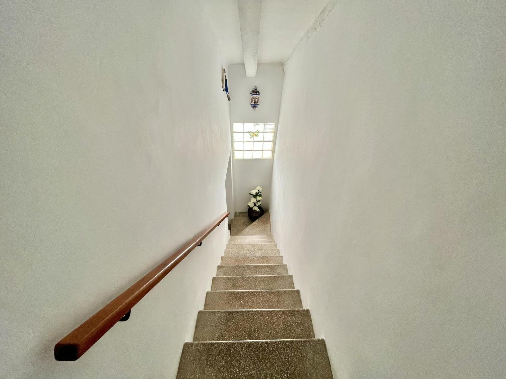 Spacious Near Roses